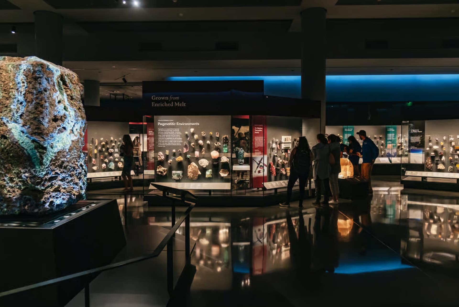 american museum of natural history new york