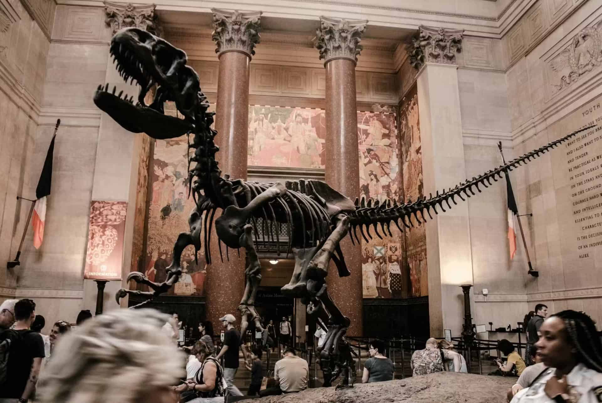 Entrée au AMNH de New York