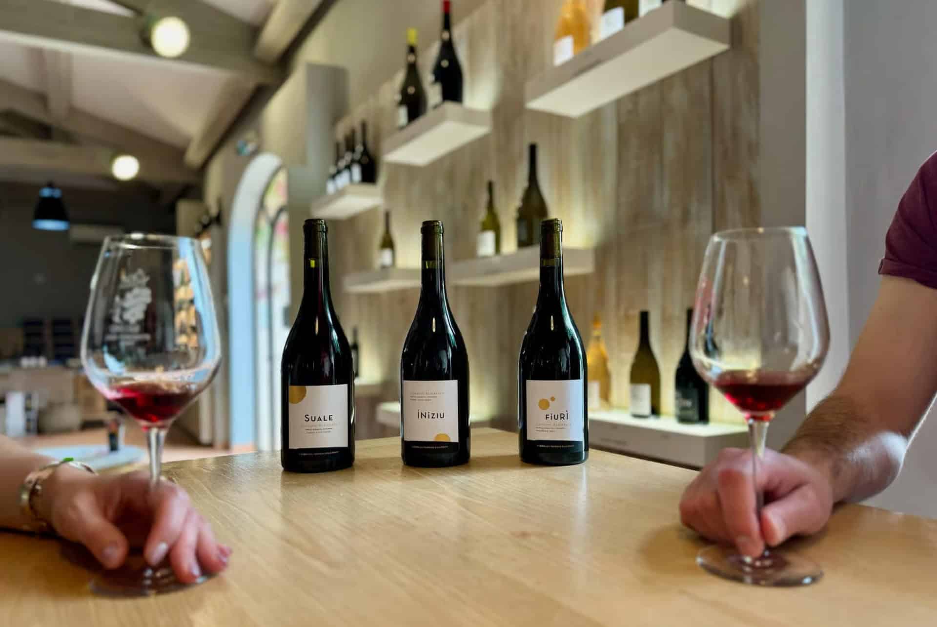 Dégustations de vin autour de Calvi et de l'Île-Rousse