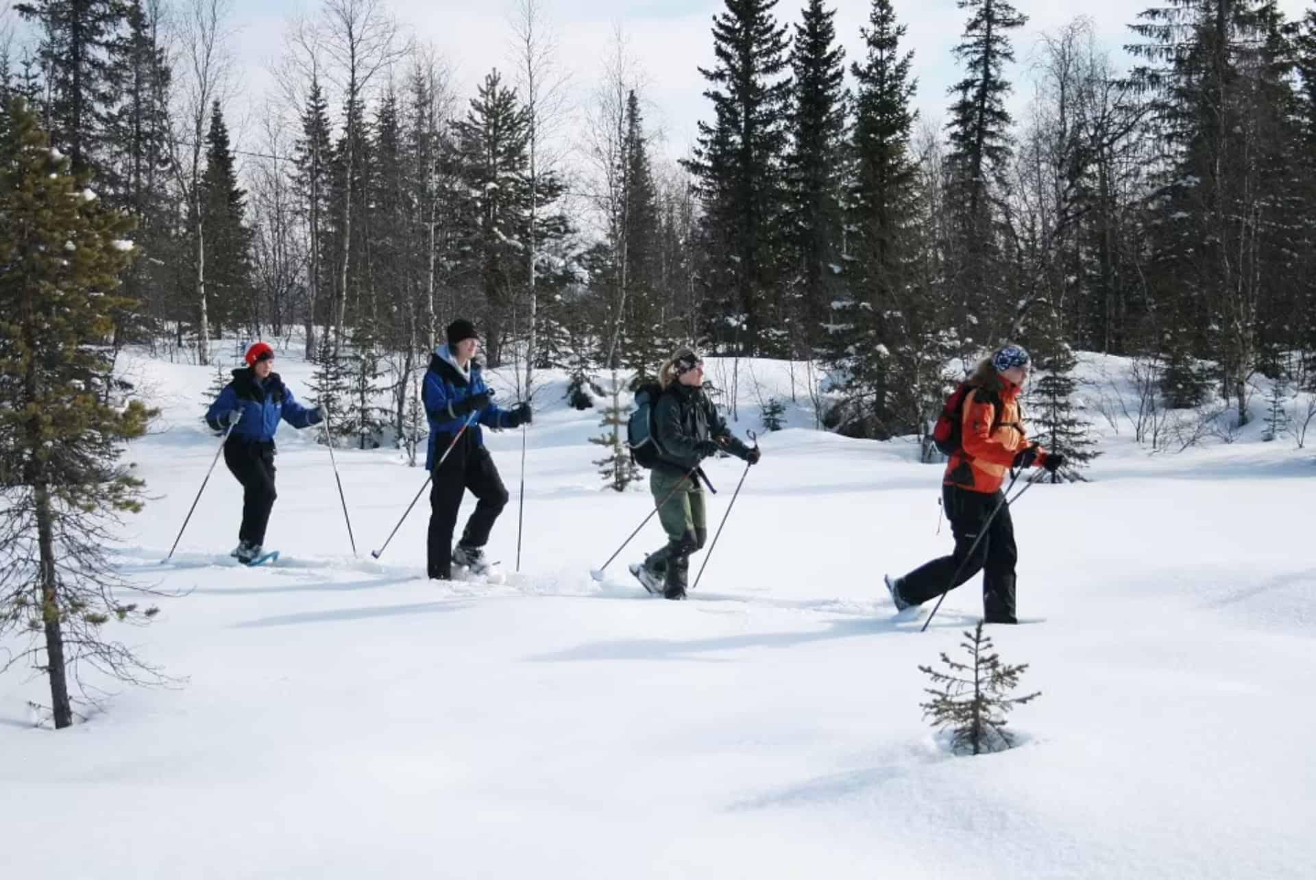Randonnée en raquettes à Kiruna