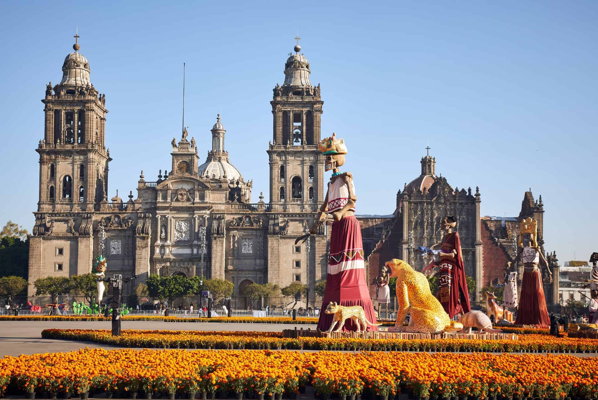 mexique en novembre activites
