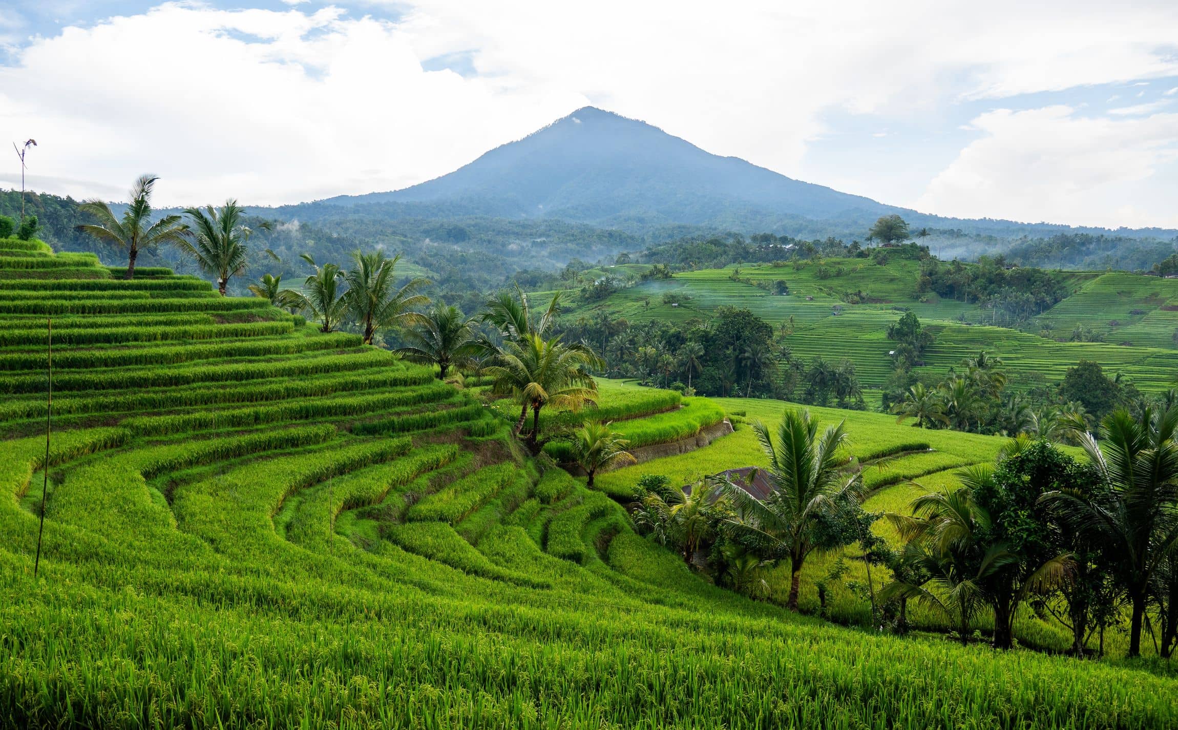 Bali en novembre