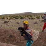 Petite fille et son chien Andes Bolivie Uyuni