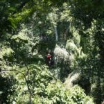 Acro-branche dans la jungle, Tambopata, Amazonie, Pérou