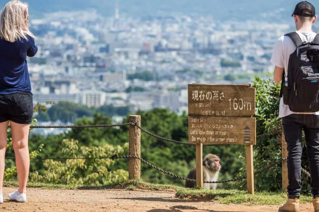Japon, voyage, Arashiyama, Kyoto, bambou, singe, macaque, Iwatayama