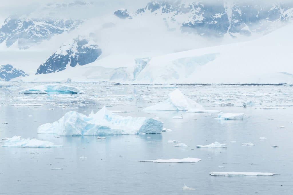 croisière, Antarctique, photo, Pôle Sud, iceberg