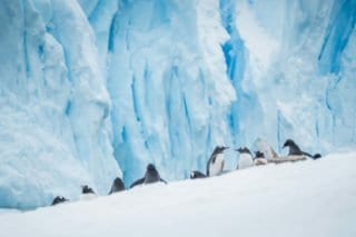 croisière, Antarctique, photo, Pôle Sud