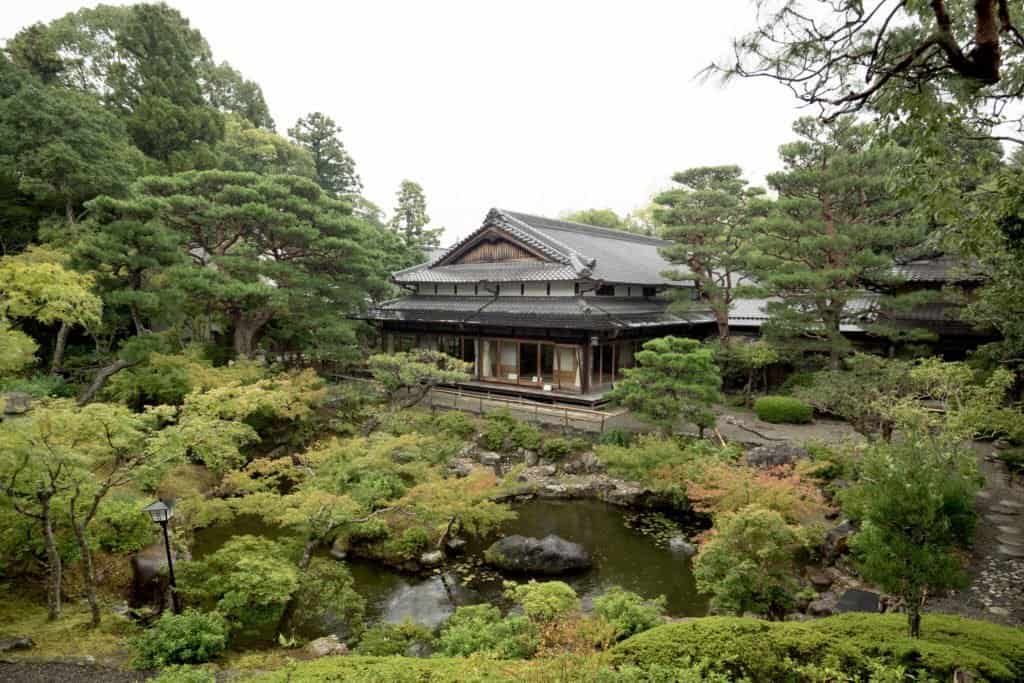 Japon, Nara, daim, temple, Kyoto