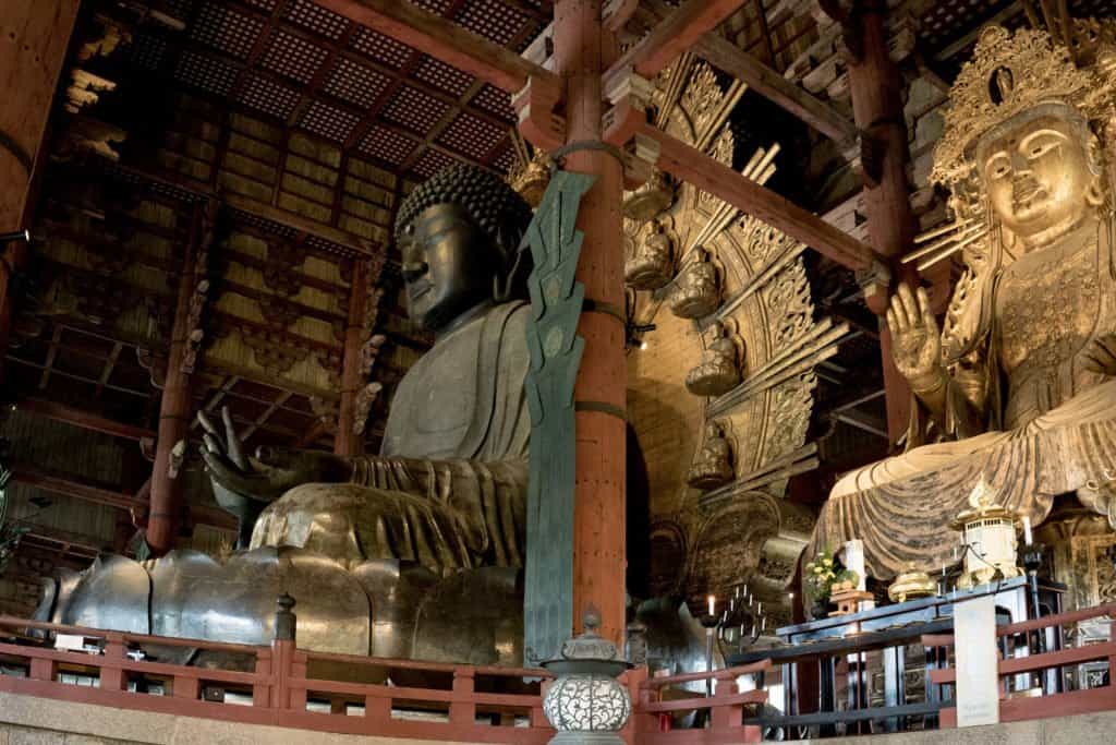 Japon, Nara, daim, temple, Kyoto