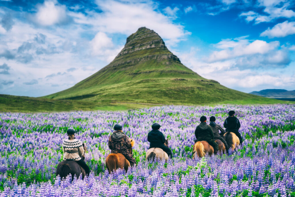 activites islande equitation