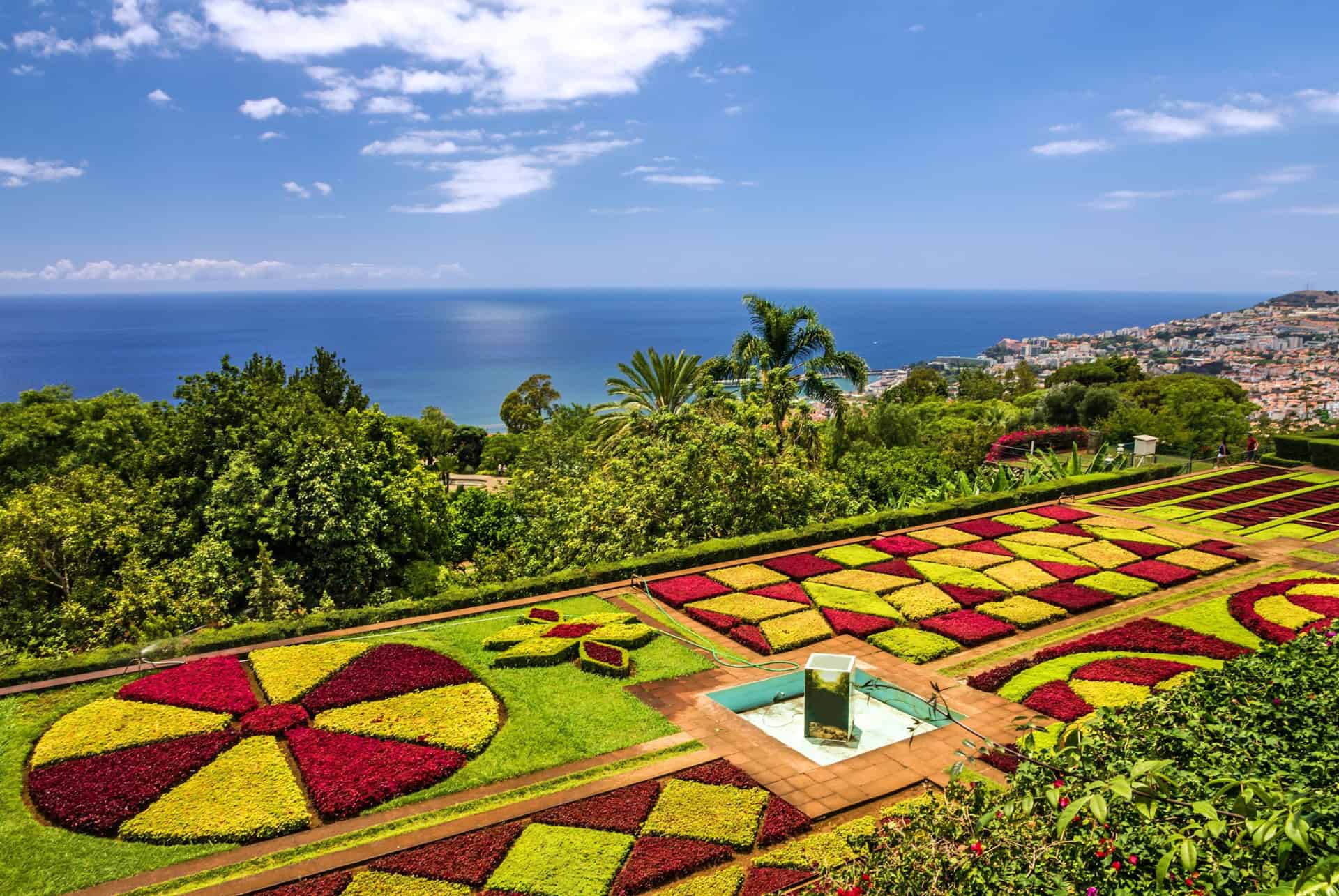 jardin botanique madère
