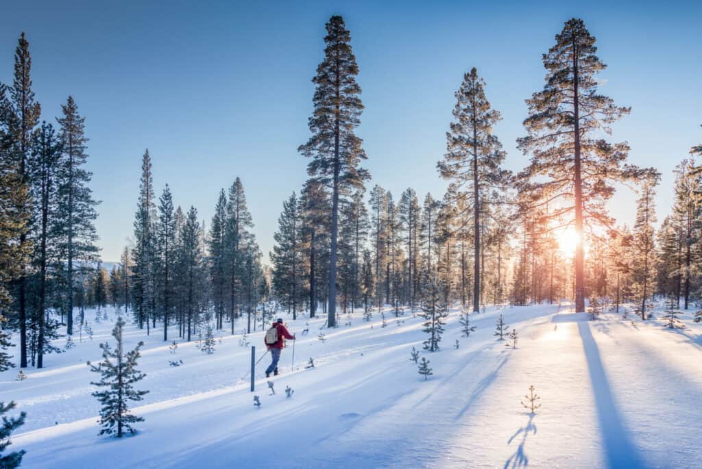 ski de fond en norvege
