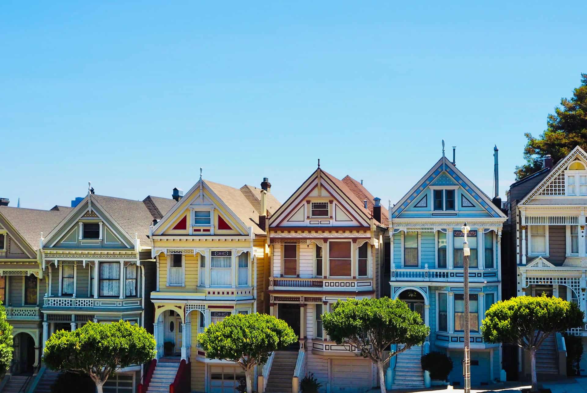 the painted ladies