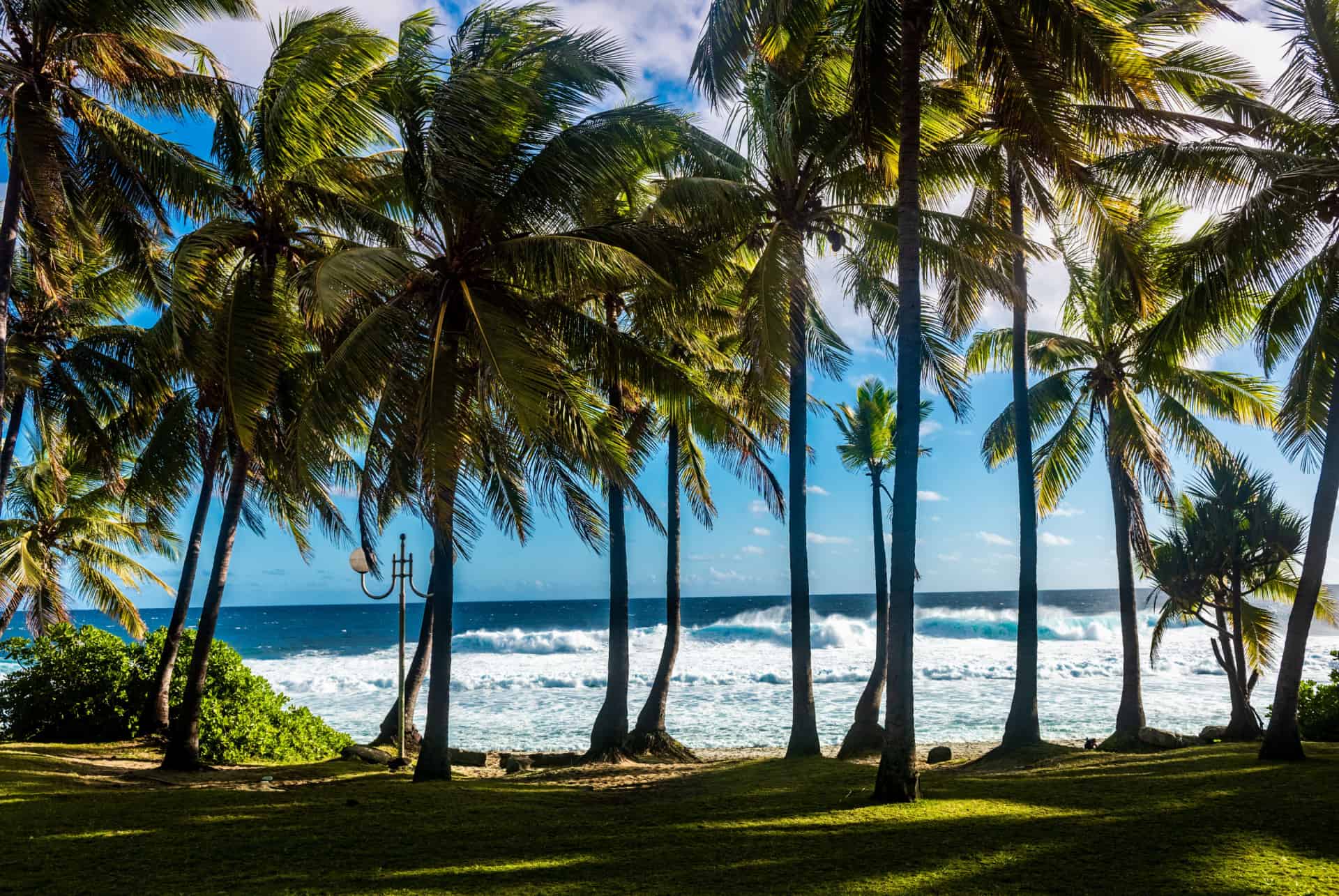 ile de la reunion ou partir en decembre