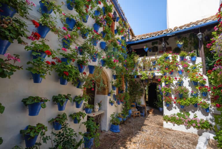 Visite des patios de Cordoue