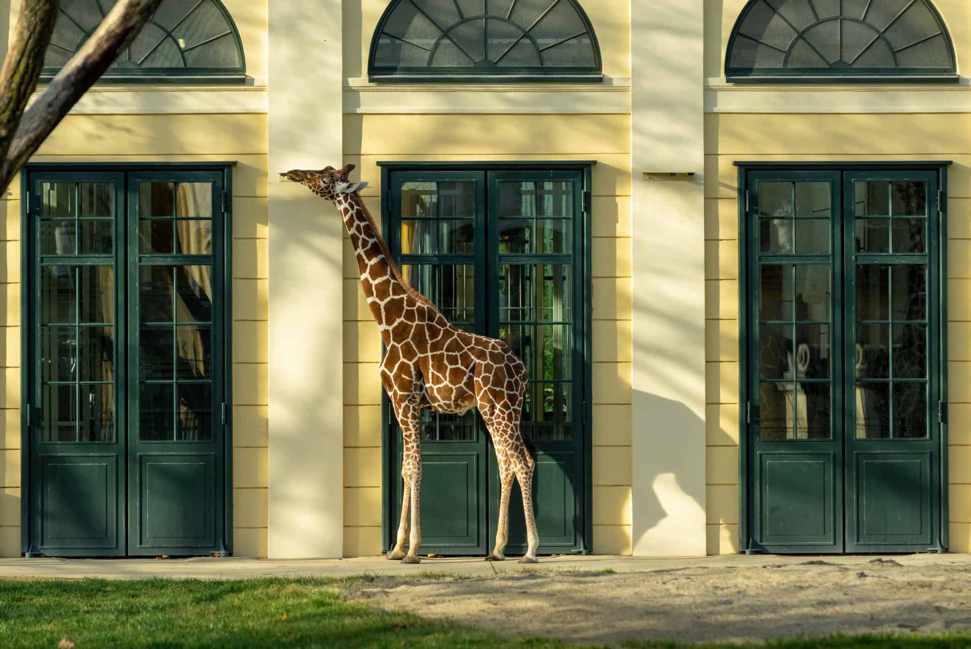 zoo de Schönbrunn