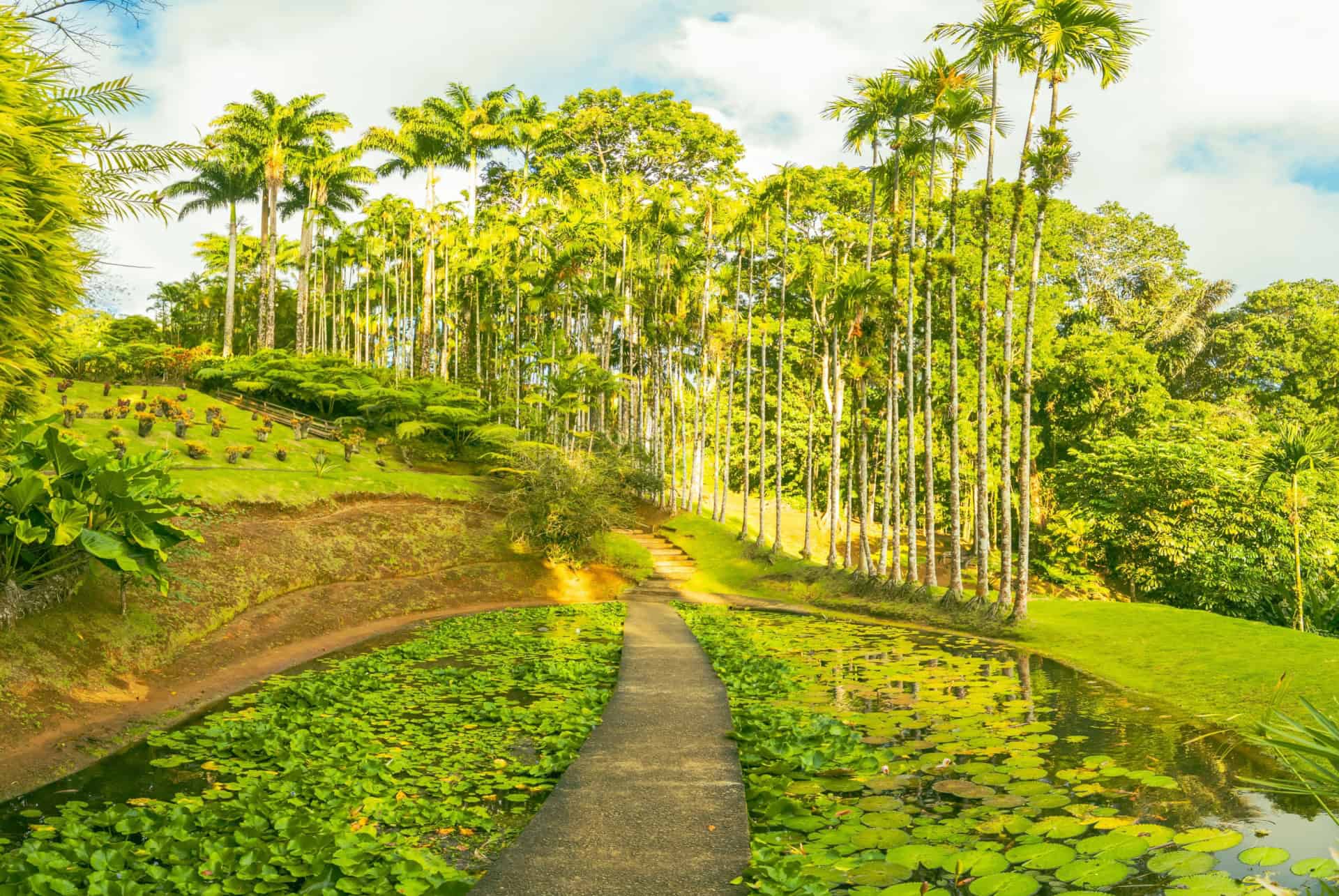 jardin de batala martinique