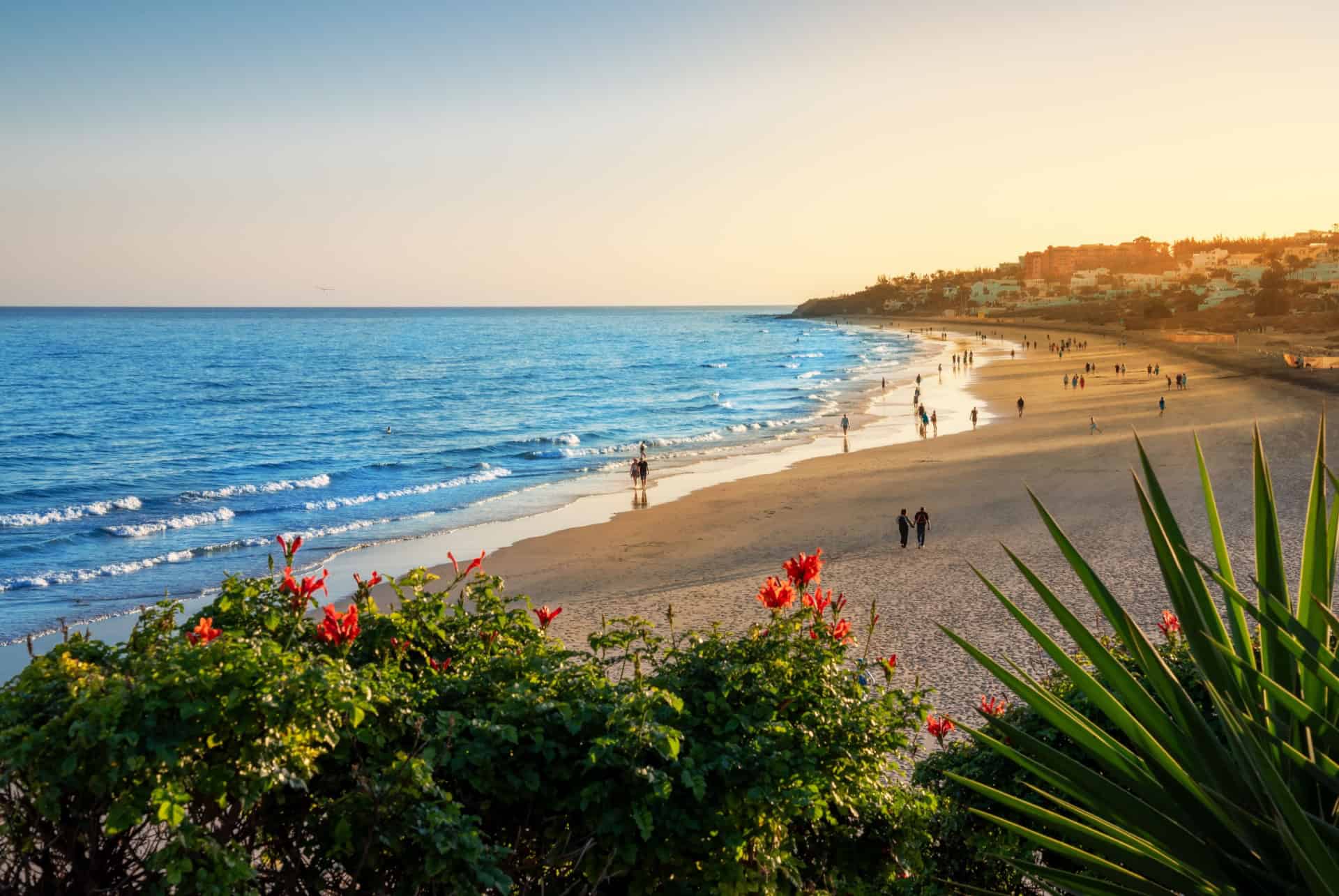 plage de costa calma