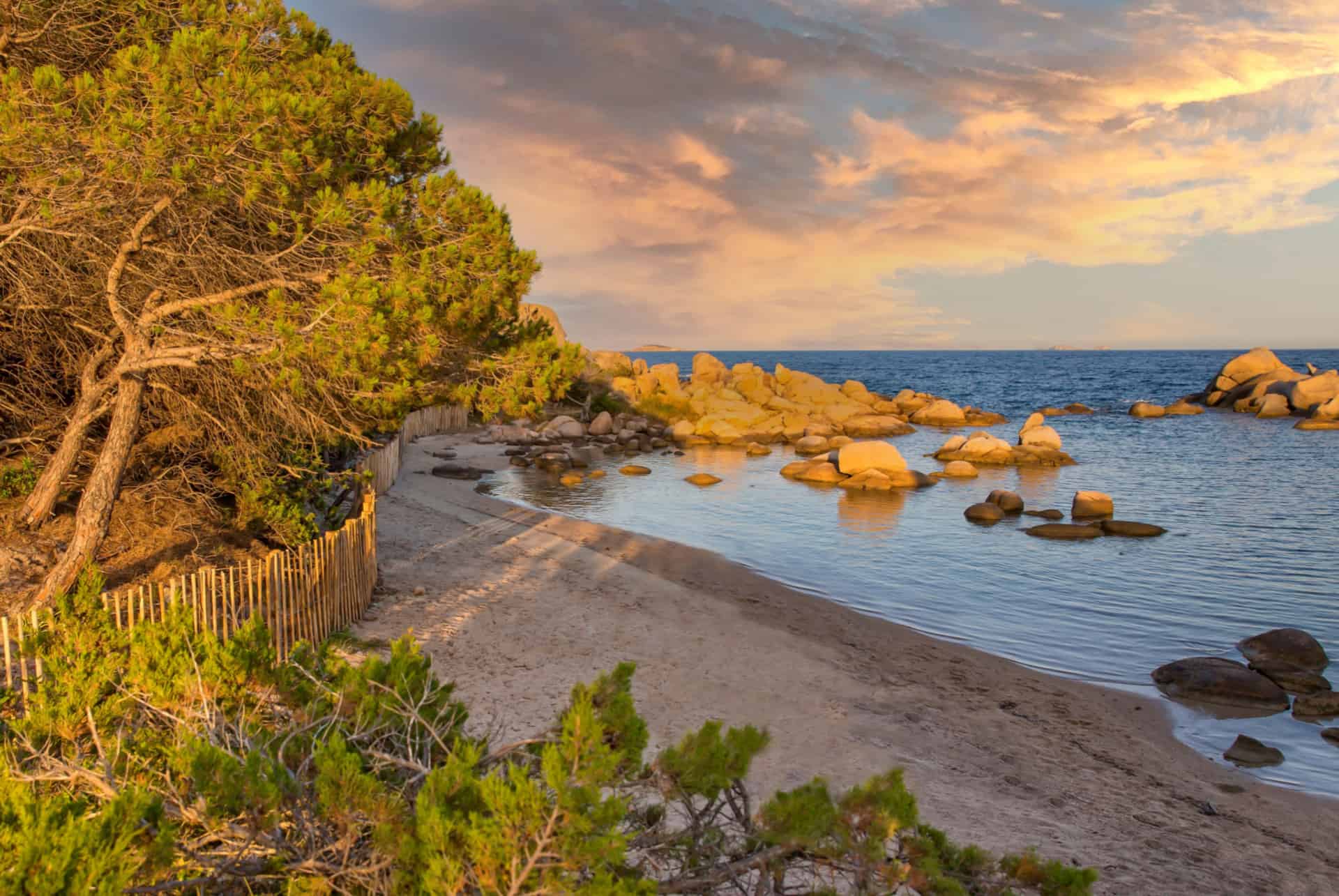 que faire en corse plage de tamaricciu