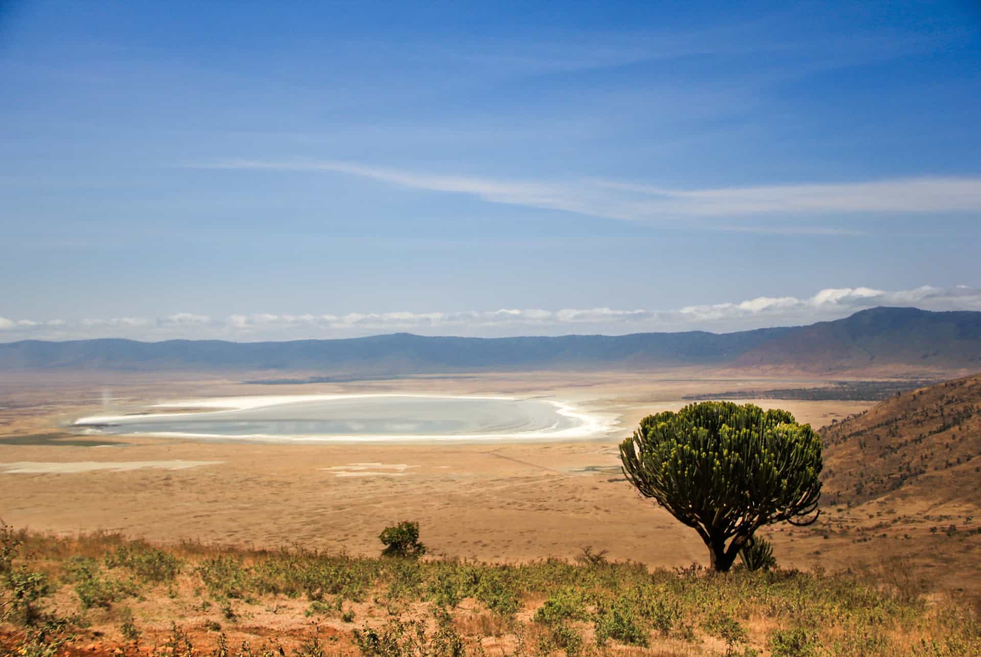 cratere ngorongoro