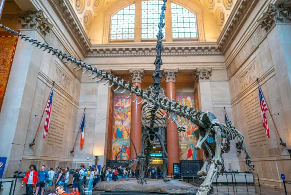 hall amnh