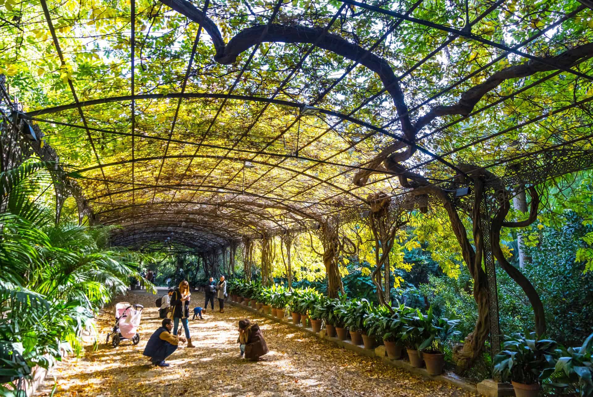 jardin botanique malaga