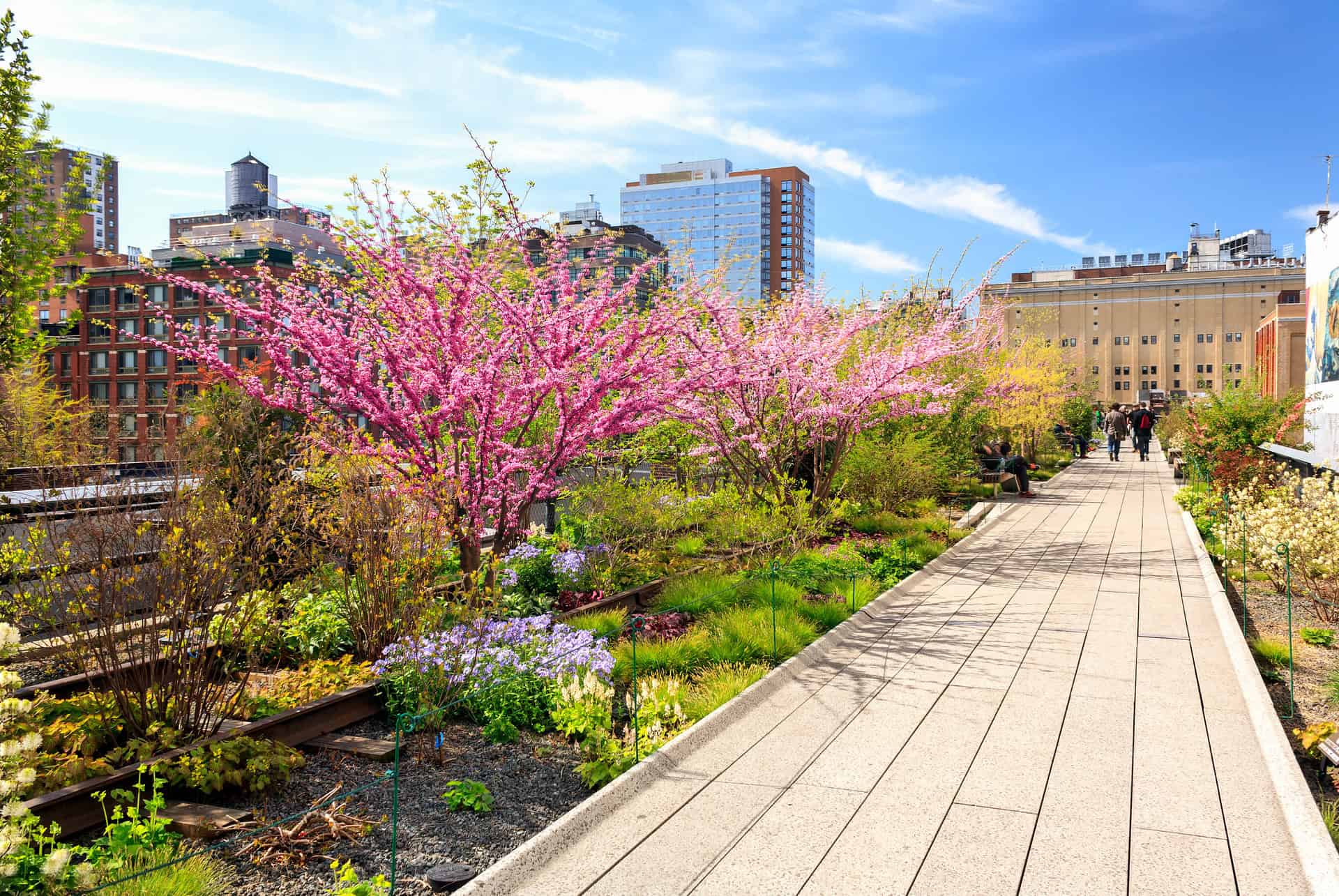 que faire a new york high line