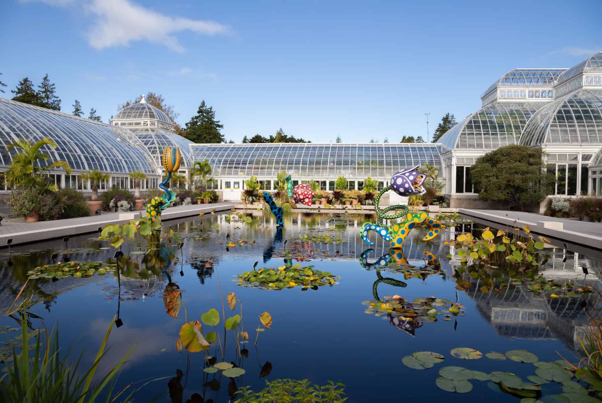 que faire a new york jardin botanique