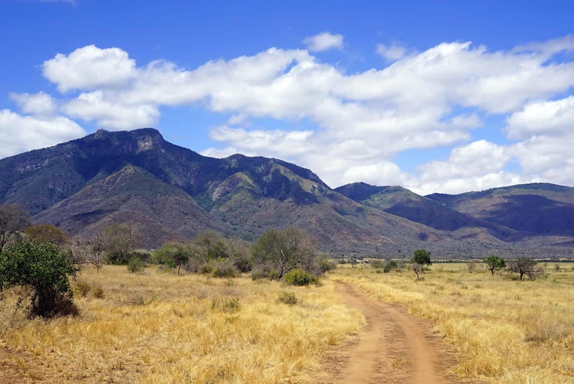 tanzanie saison seche