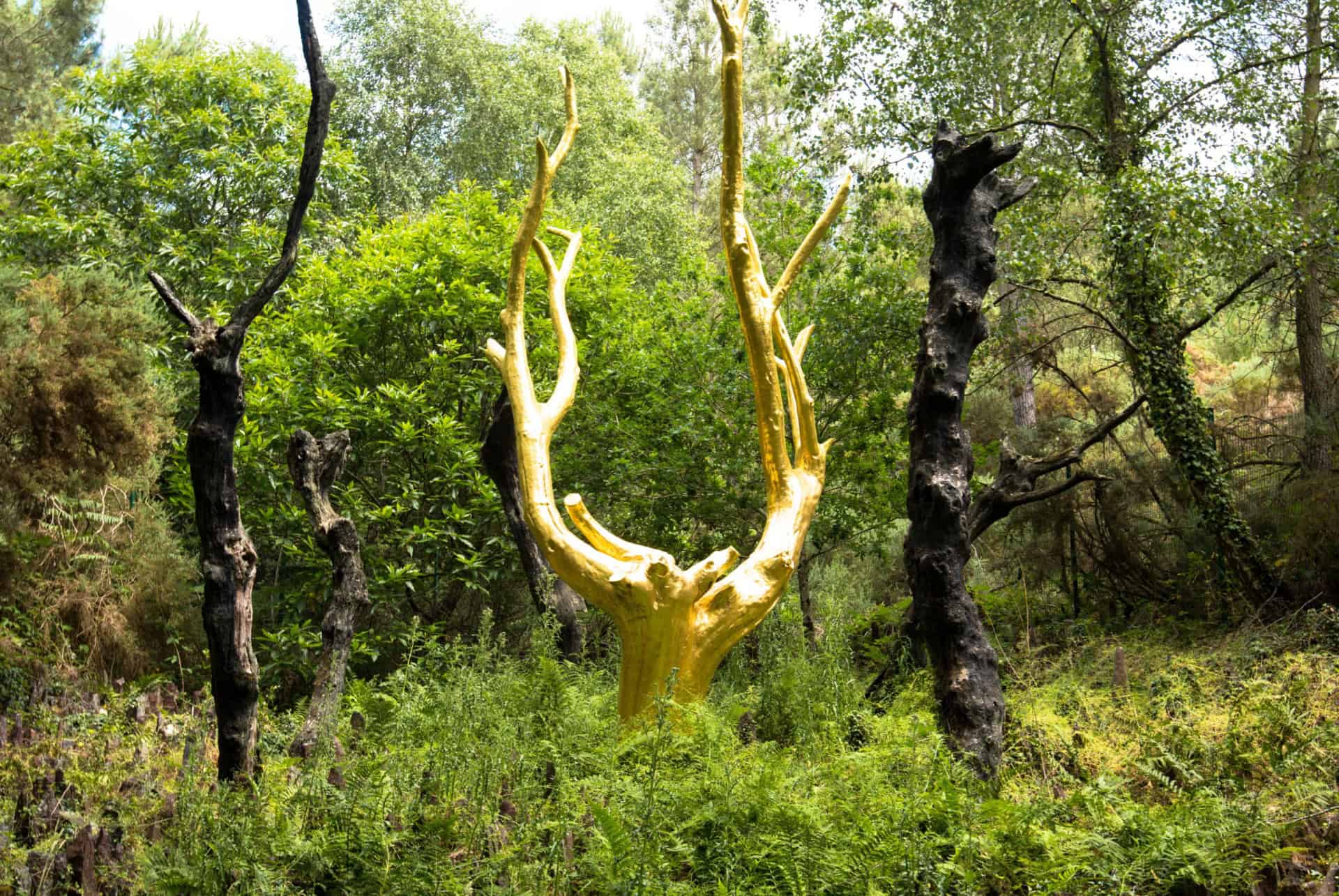 arbre d or foret de broceliande bretagne