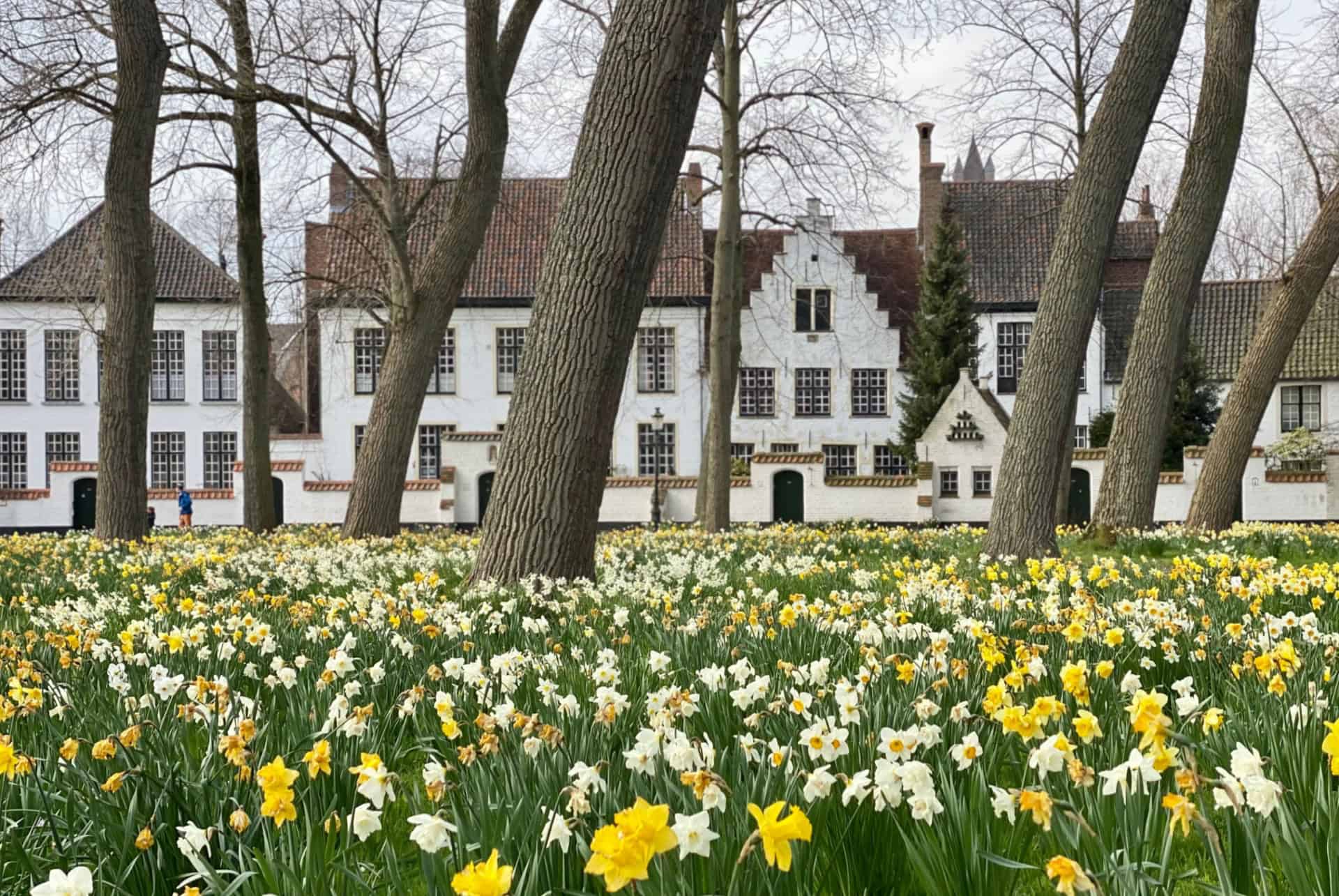 beguinage bruges