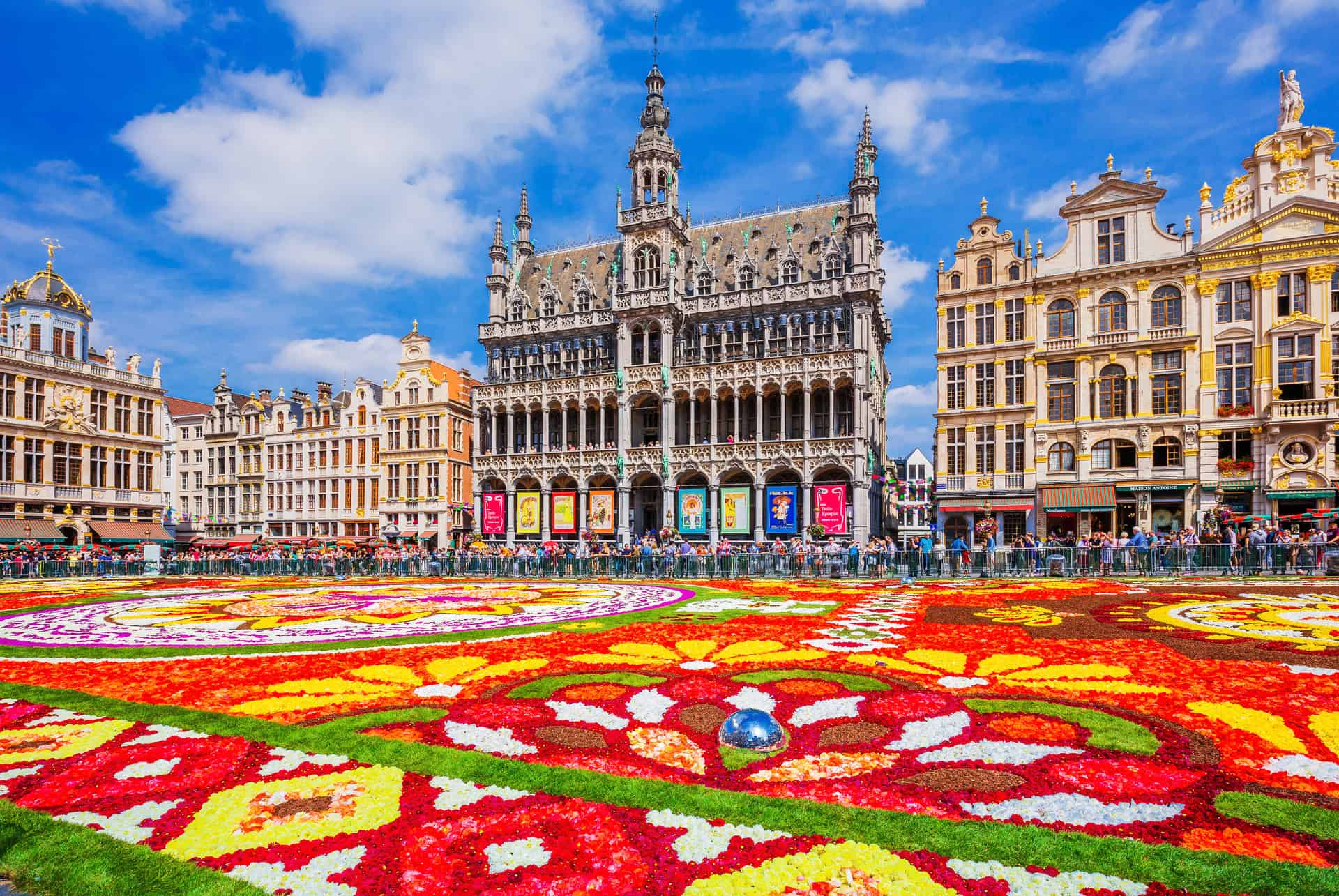 que faire en belgique climat