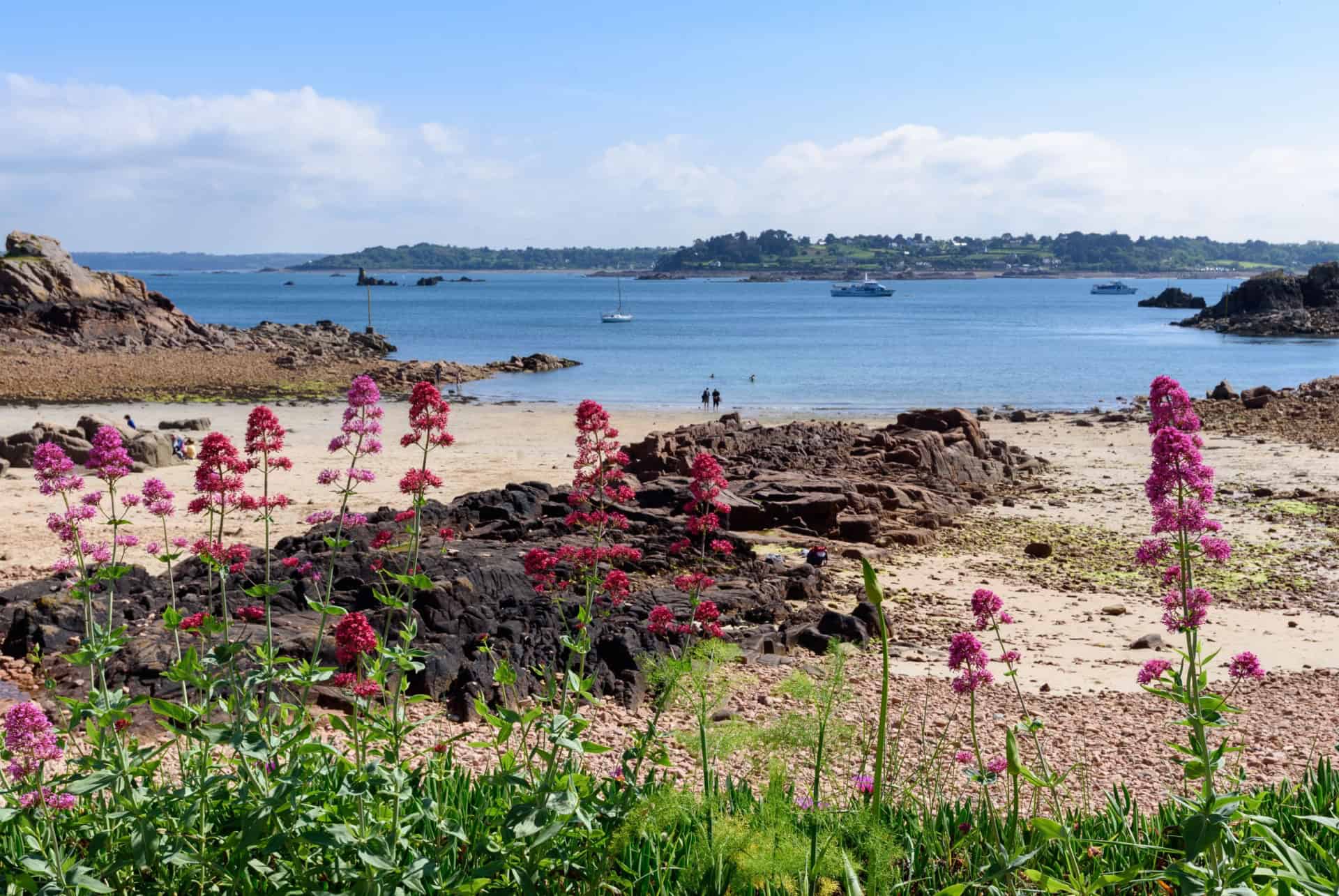 ile de brehat bretagne