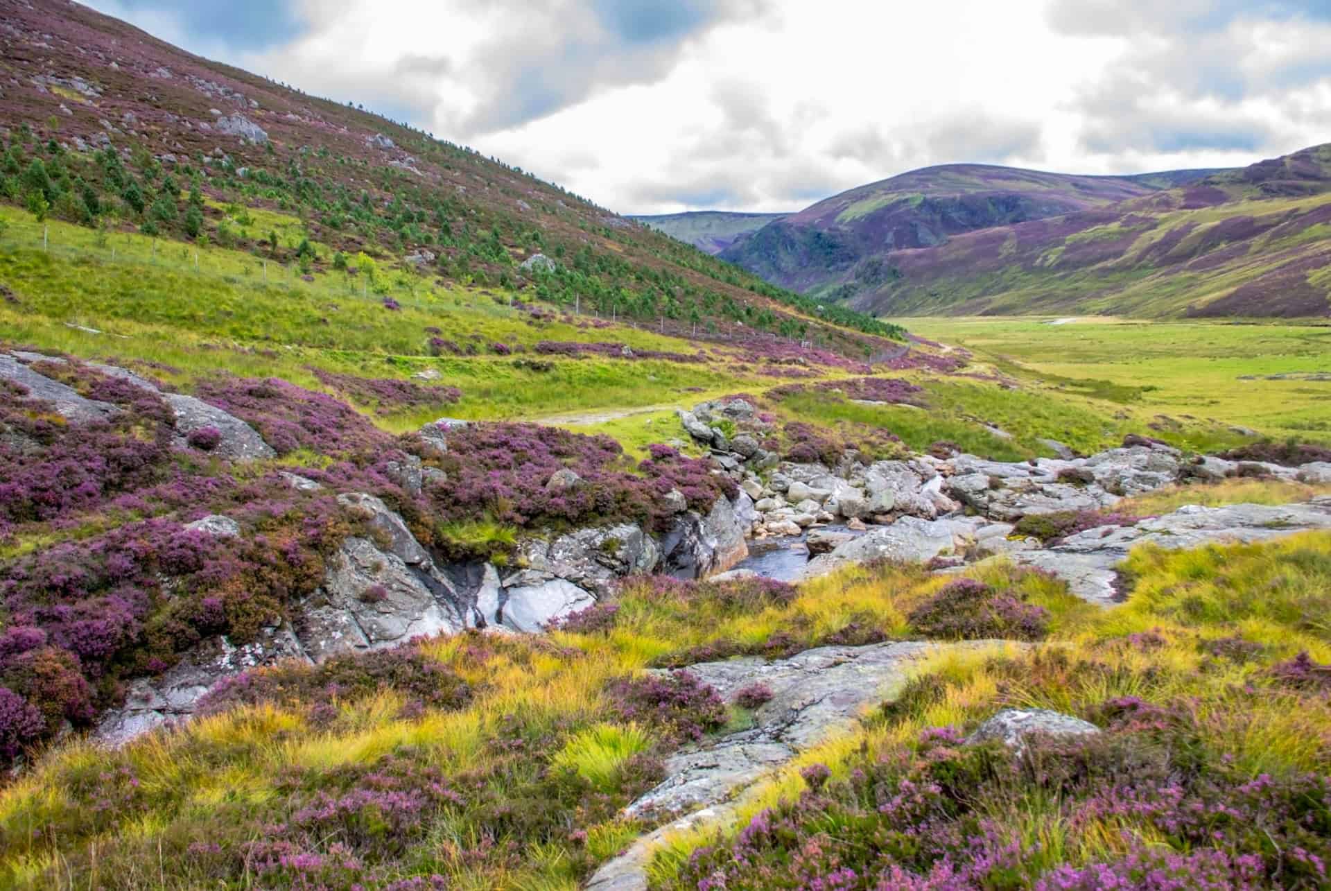 parc national des cairngorms ecosse