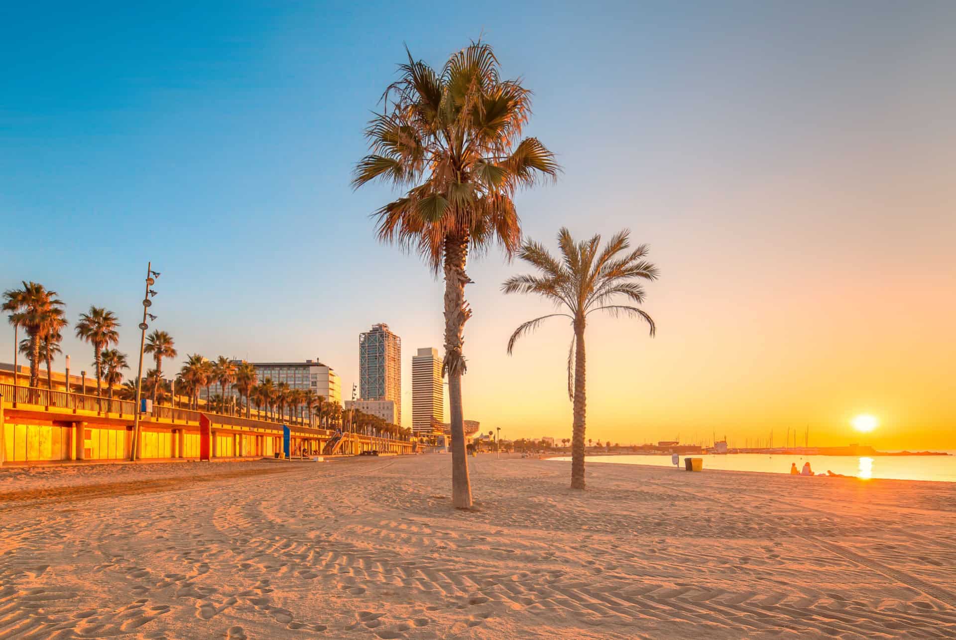 barceloneta aout coucher de soleil