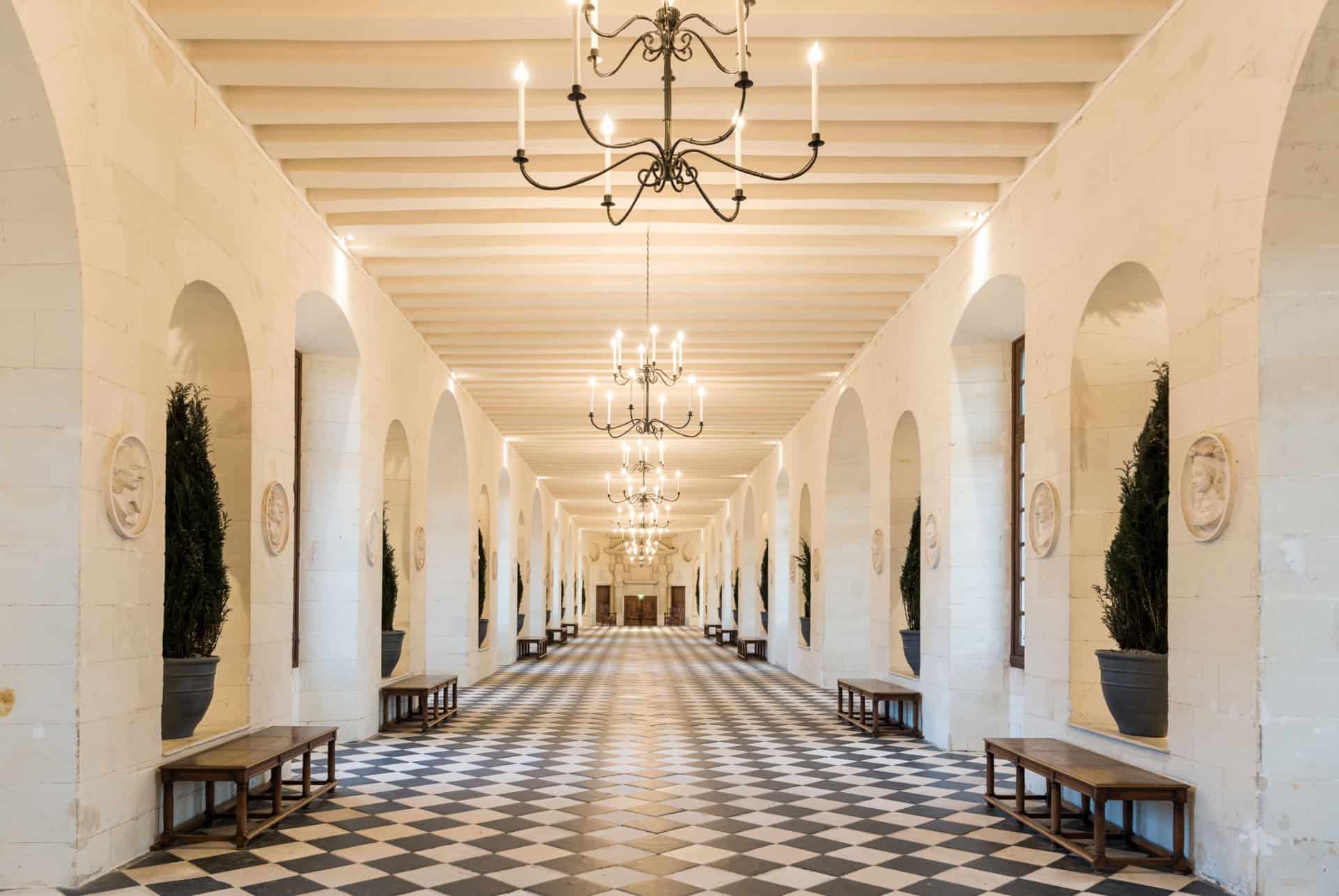 chateaux de la loire chenonceau