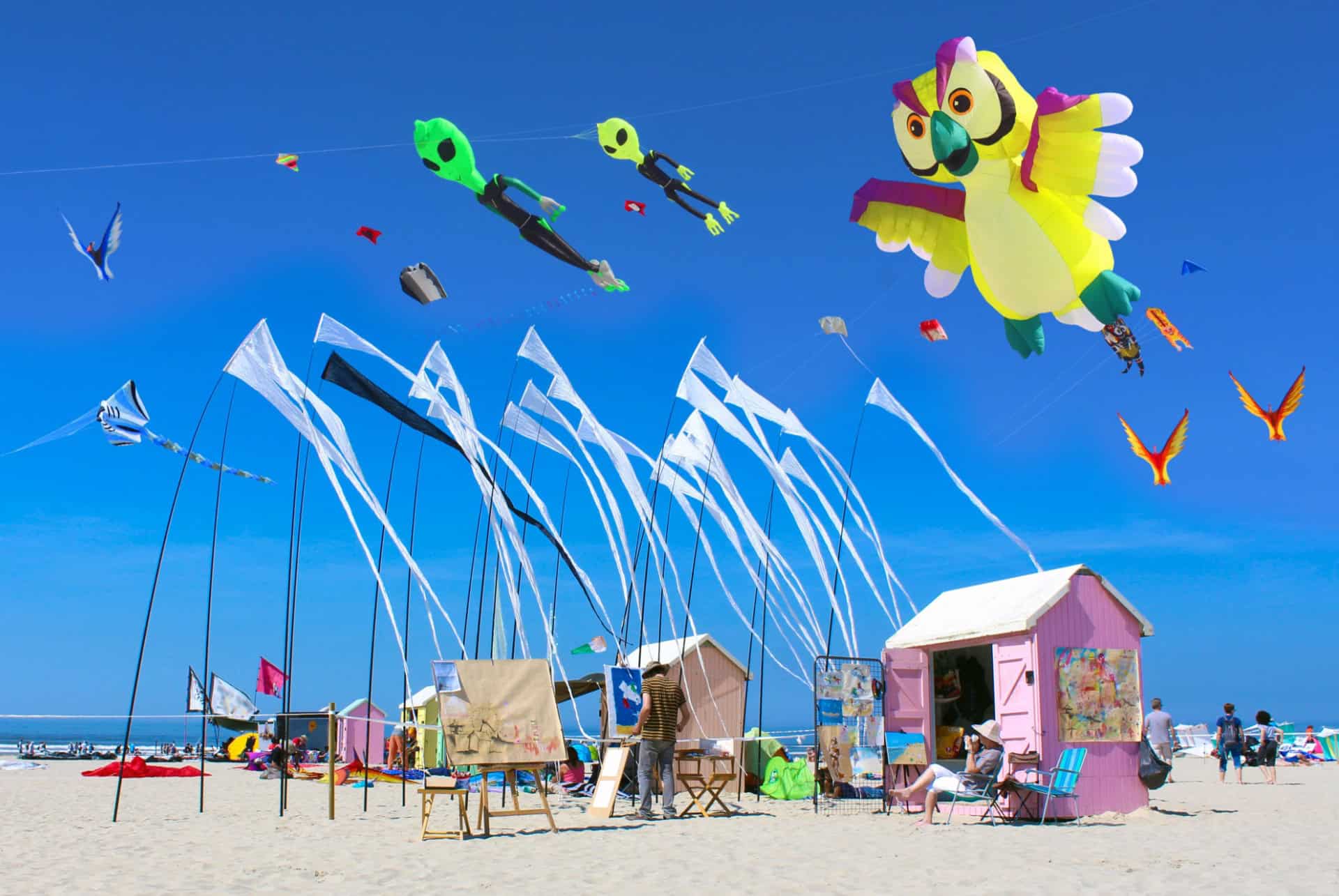 plage de berck cerf volant