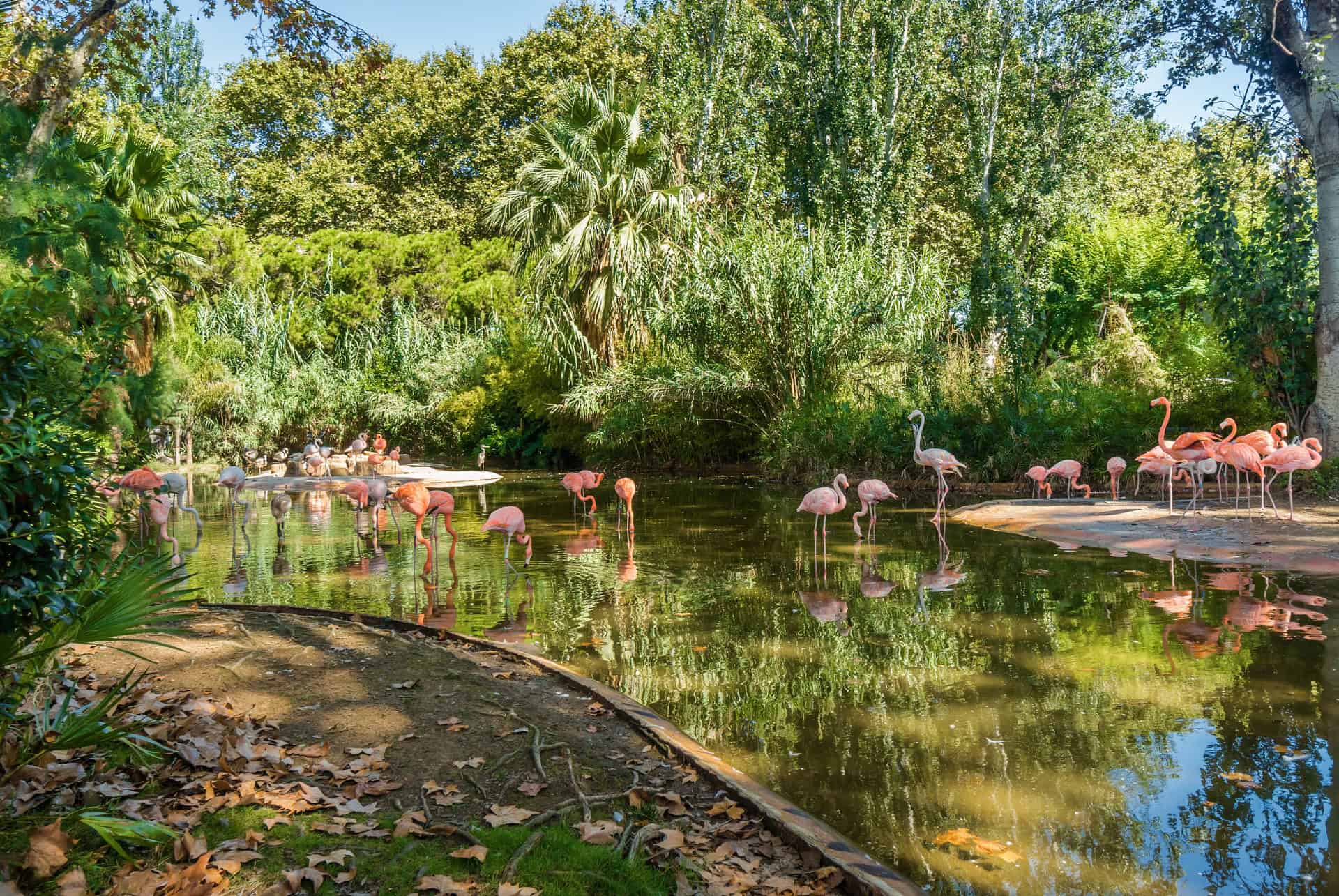 zoo de barcelone