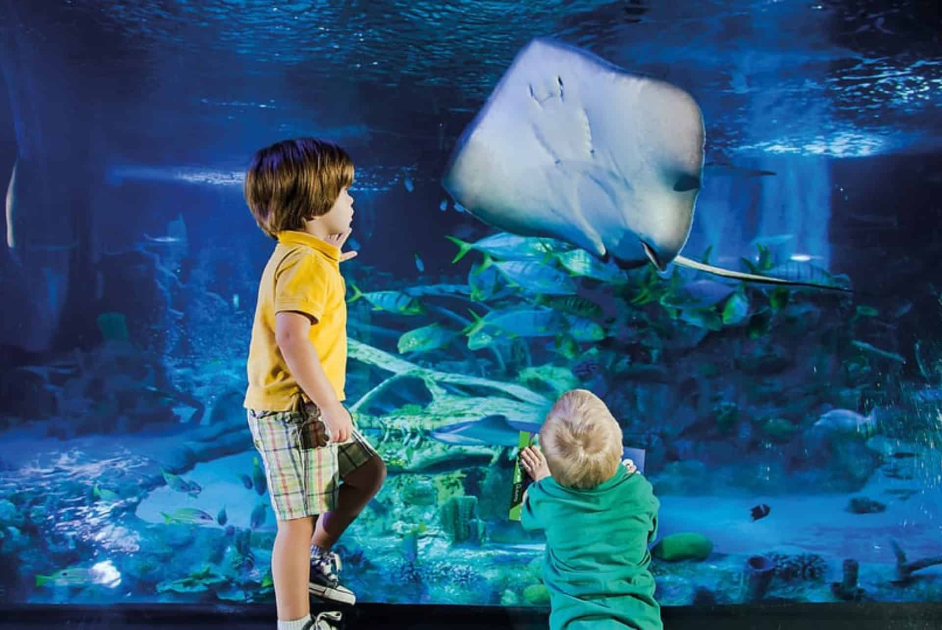 aquarium sea life helsinki