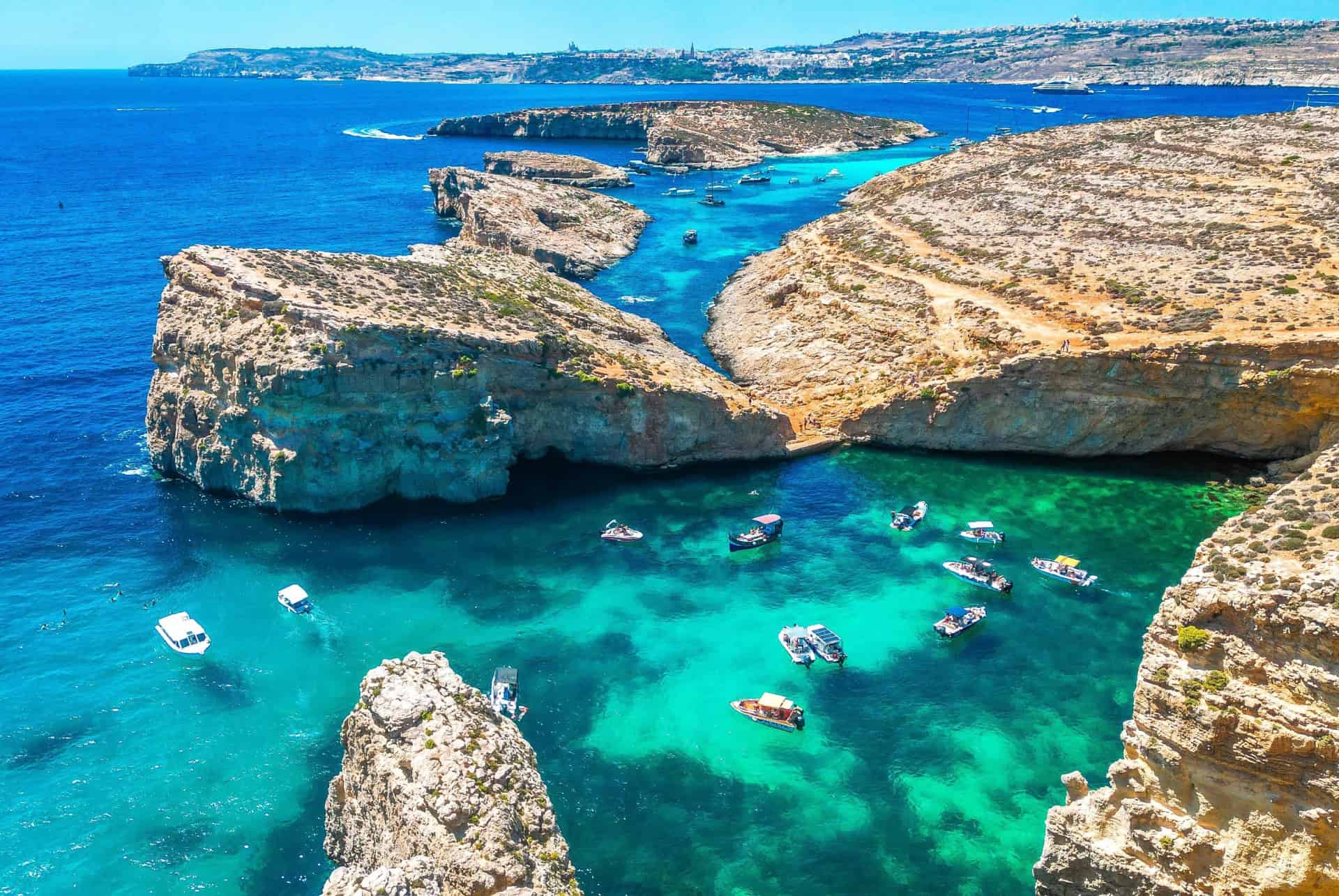 comino malte