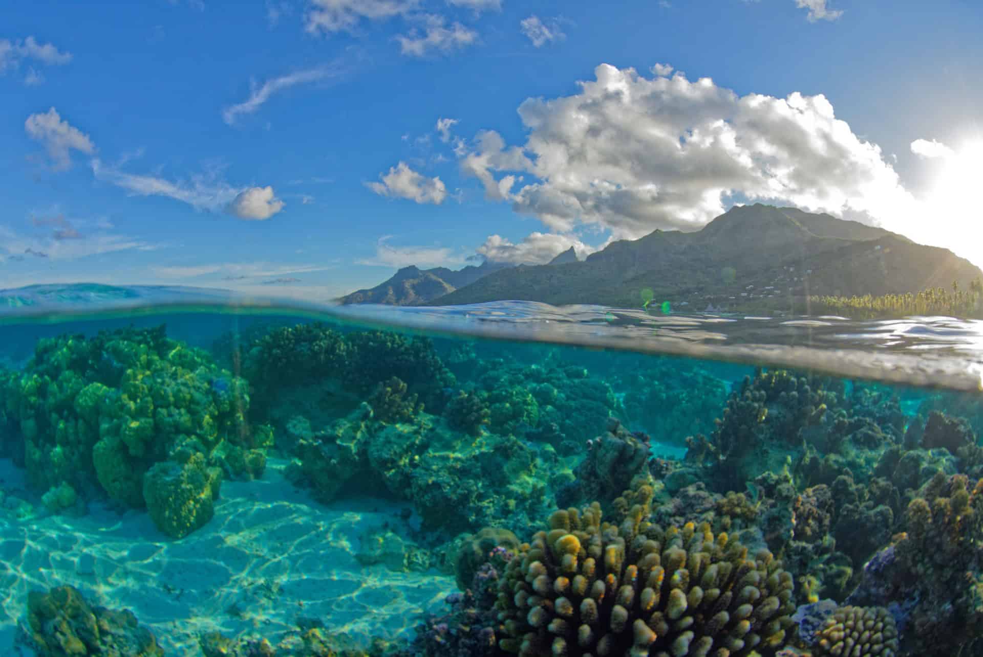 ’île de Moorea