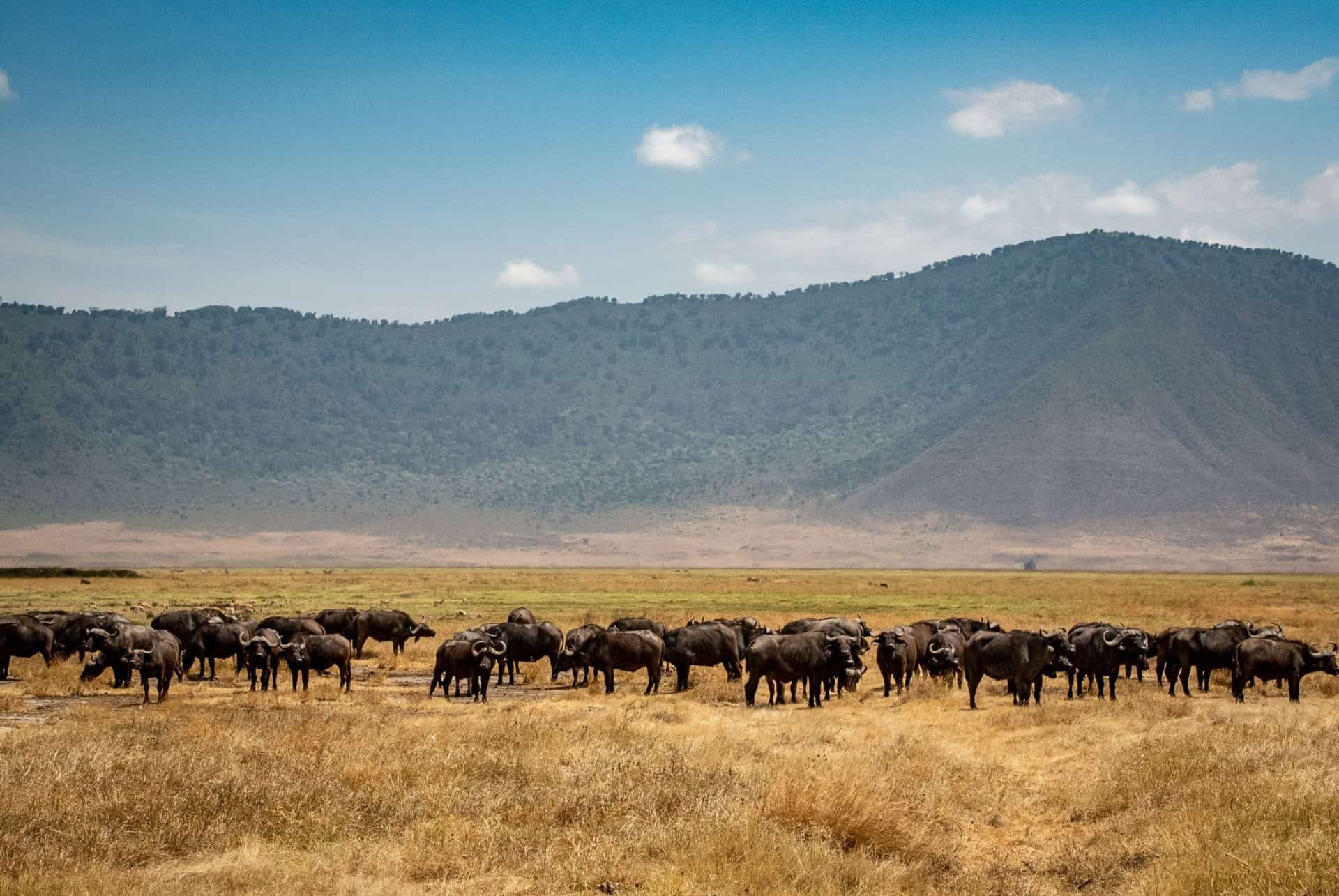 cratere du ngorongoro tanzanie