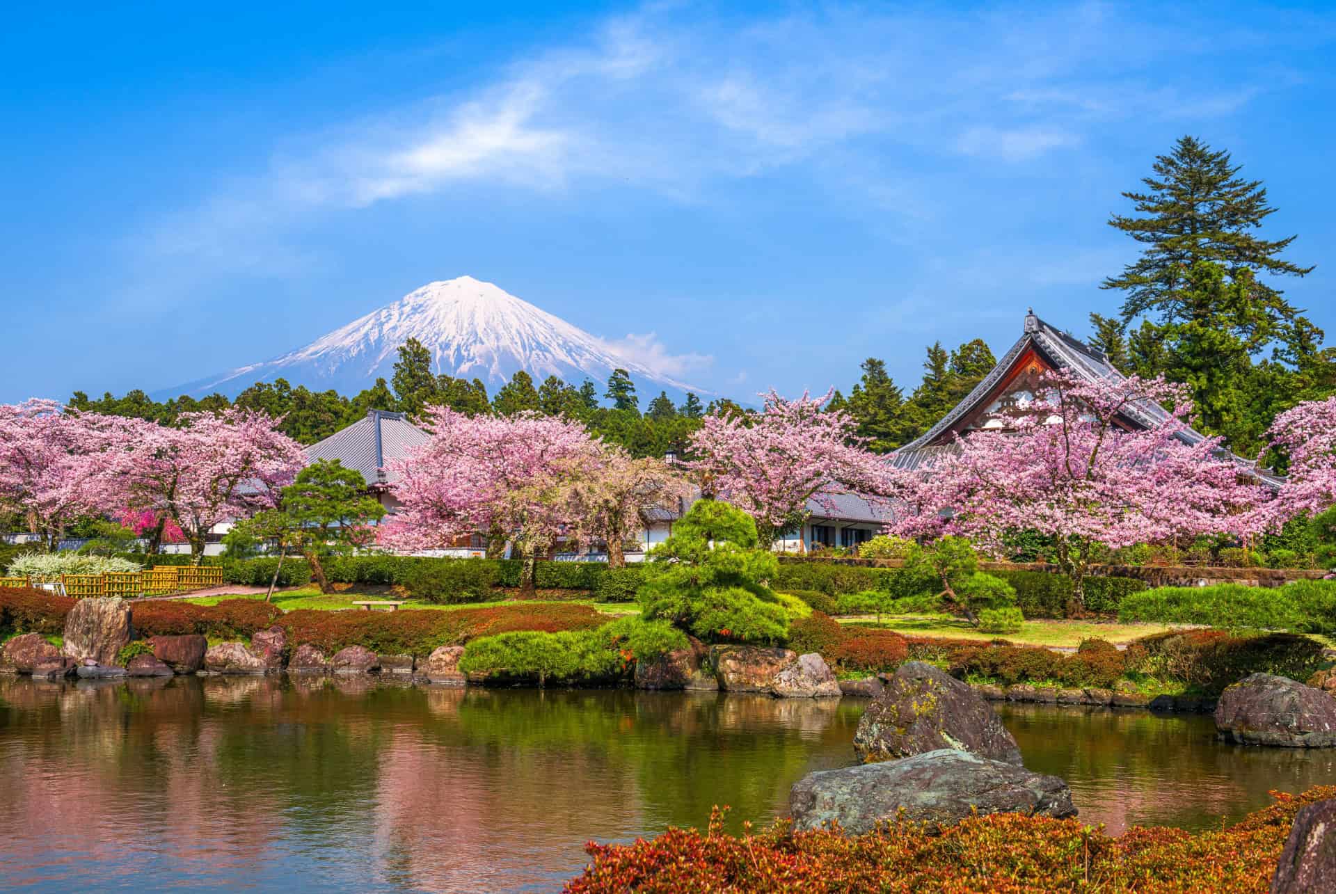 japon au printemps