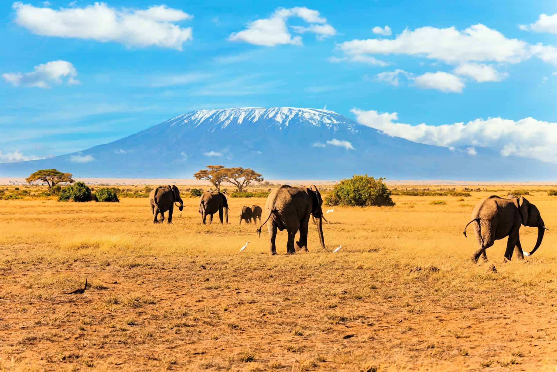 kilimandjaro tanzanie