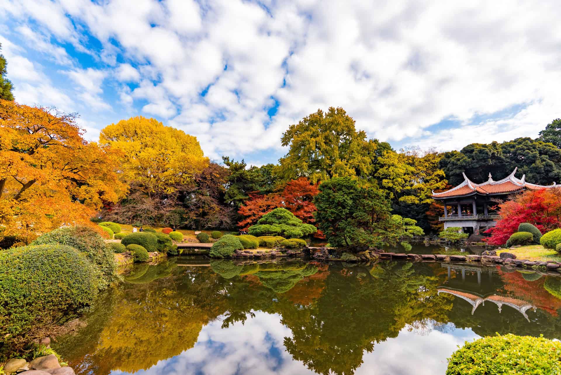 shinjuku gyoen tokyo