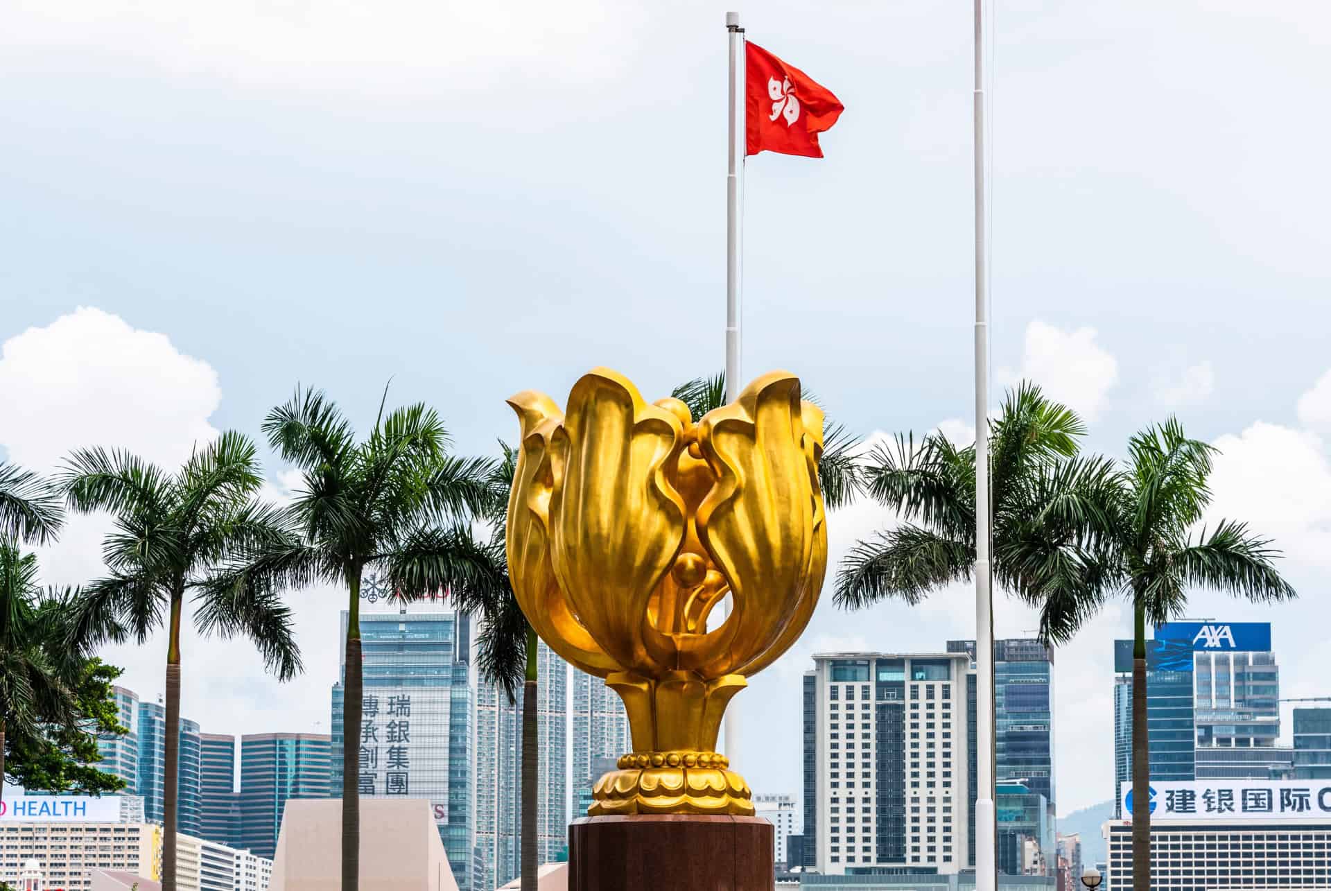 golden bauhinia a hong kong