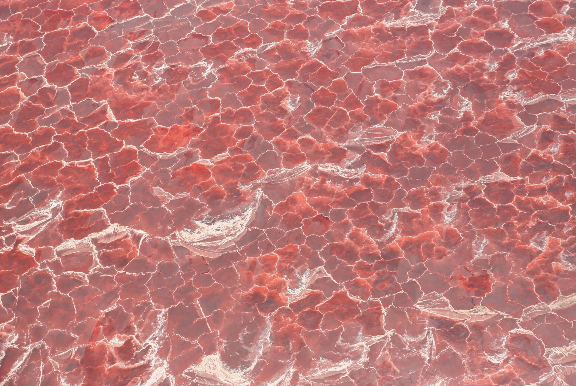 lac sale tanzanie