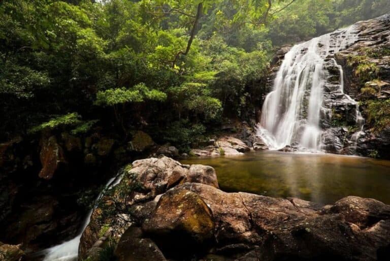 Randonnée jusqu’à la cascade de Tai Mo Shan