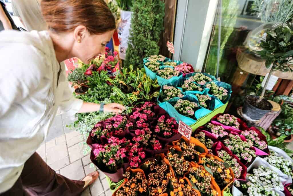 visite du marche aux fleurs de hong kong