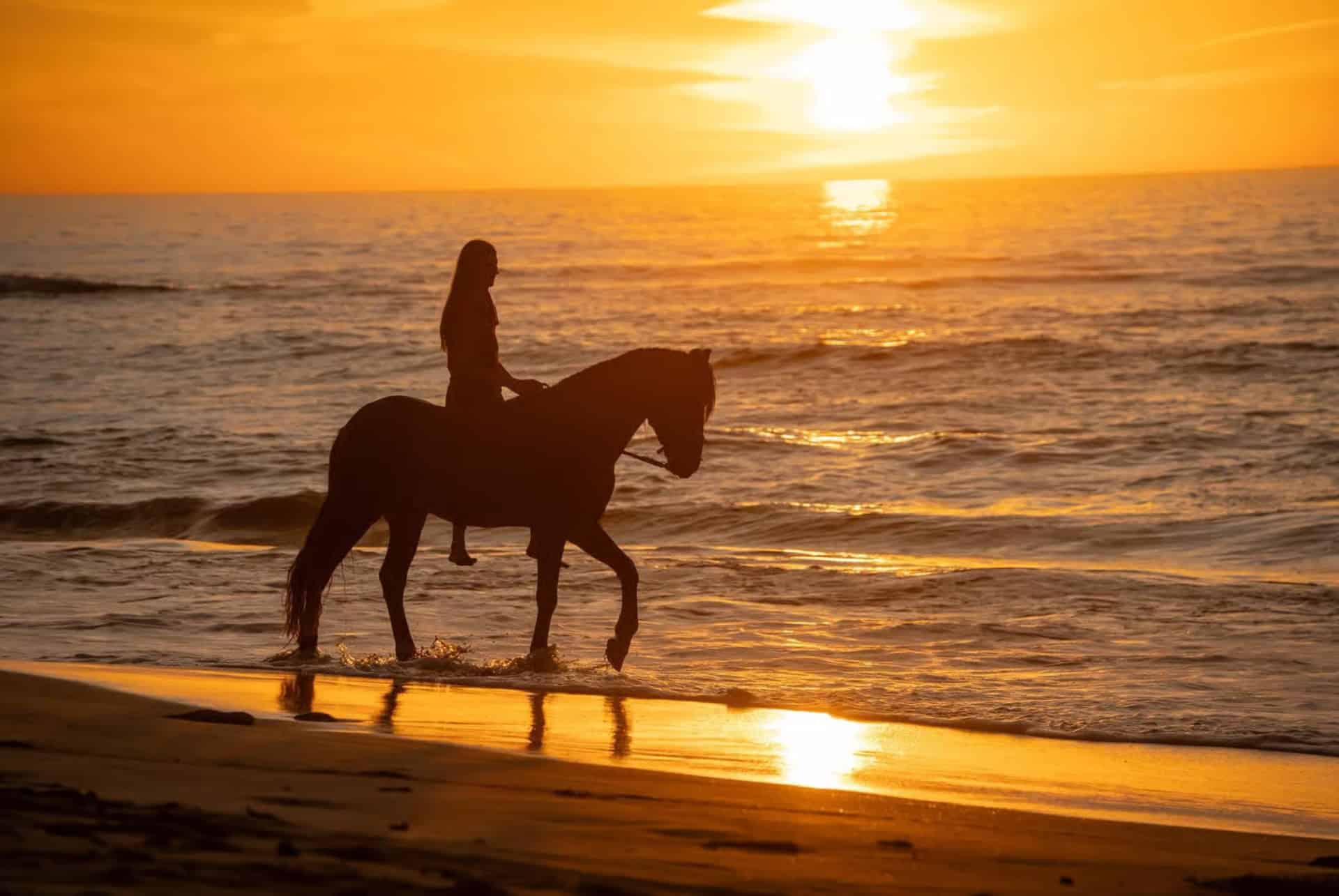 balade a cheval a essaouira